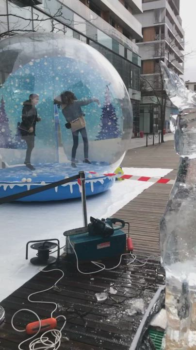 Agent de sécurité Lille (59)