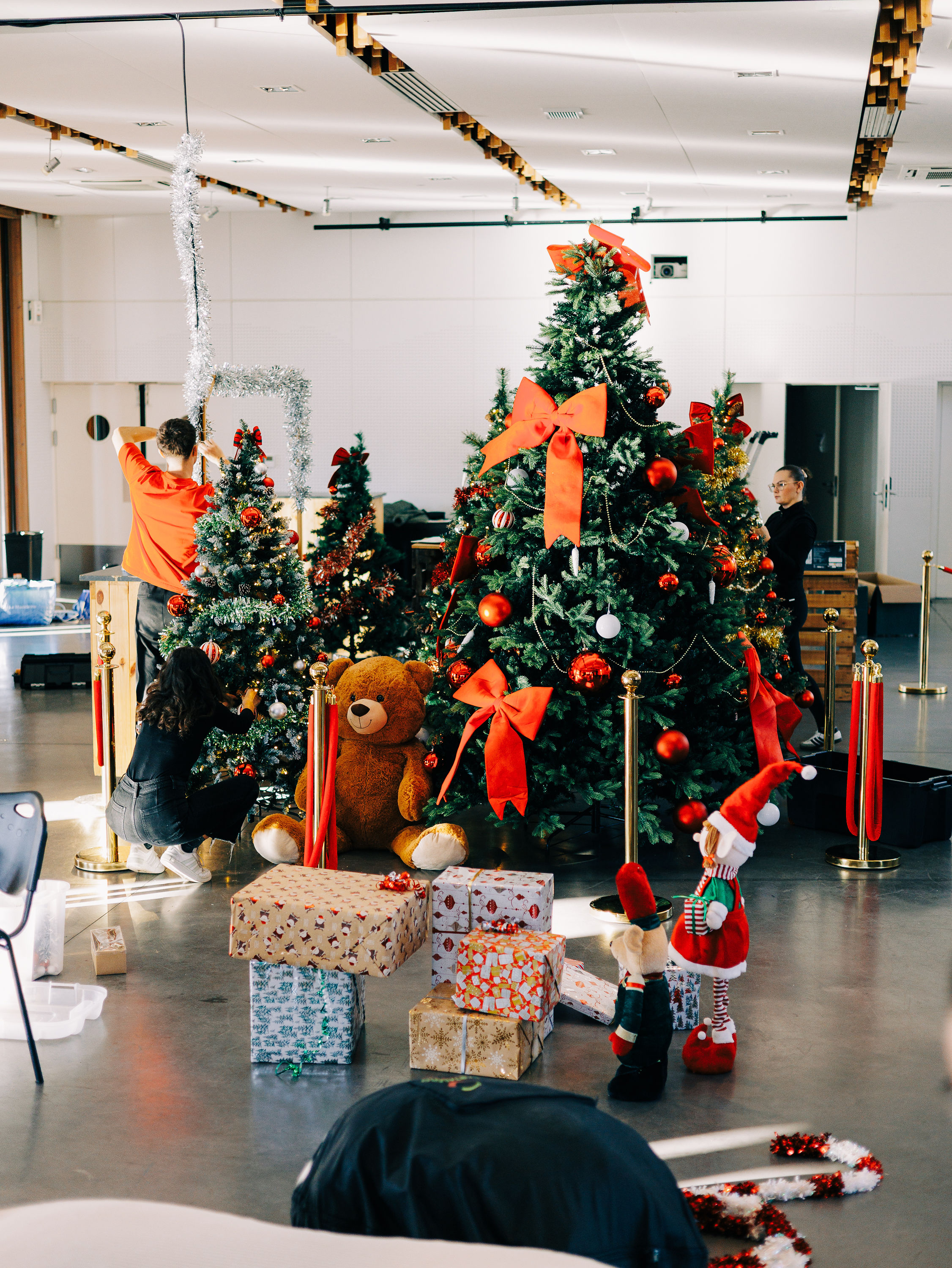 Interprète et traducteur Lille (59)