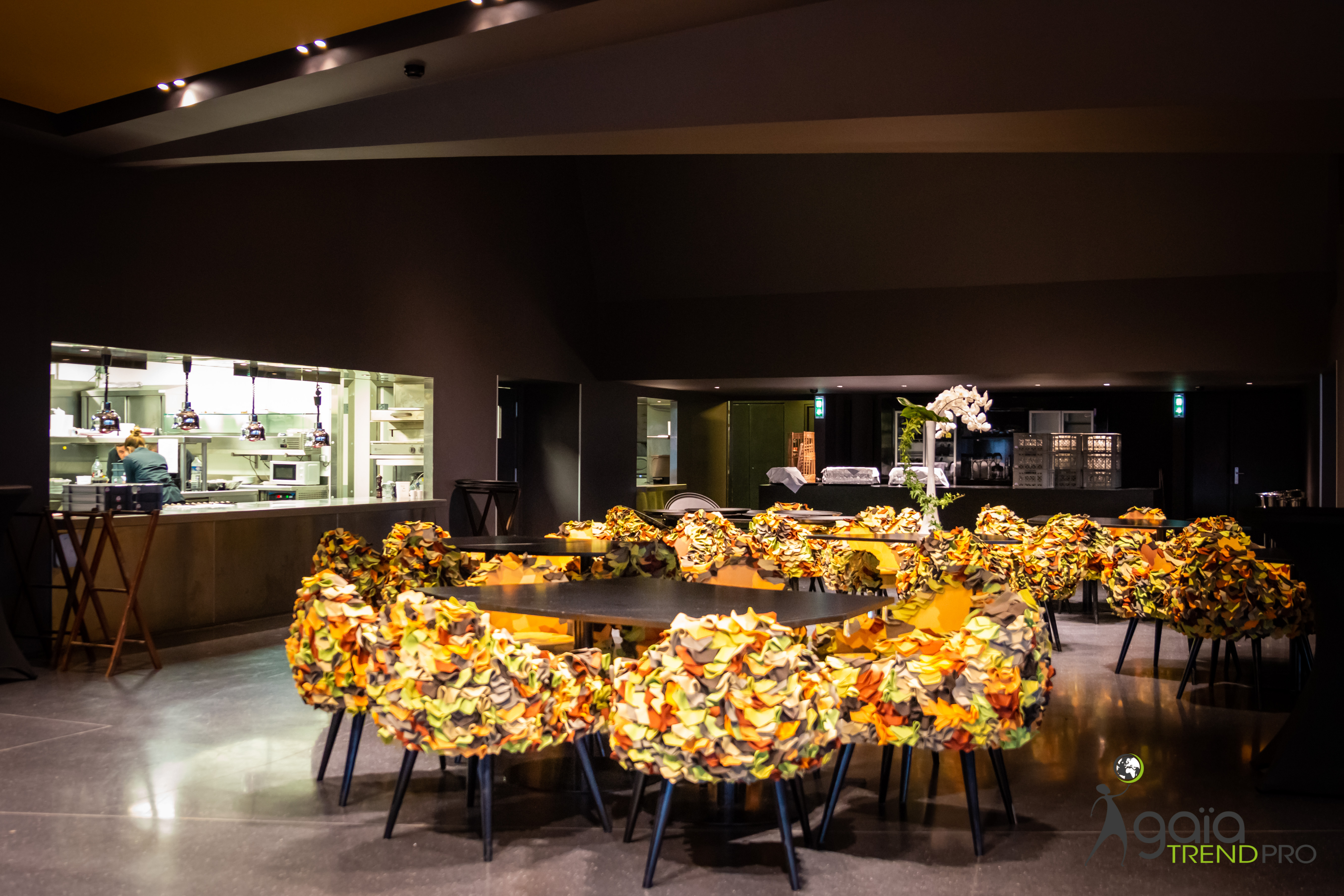 Organiser Animation Cuisine Moléculaire entreprise Genève