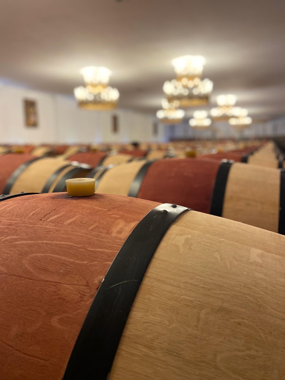 dégustation de vin Nord