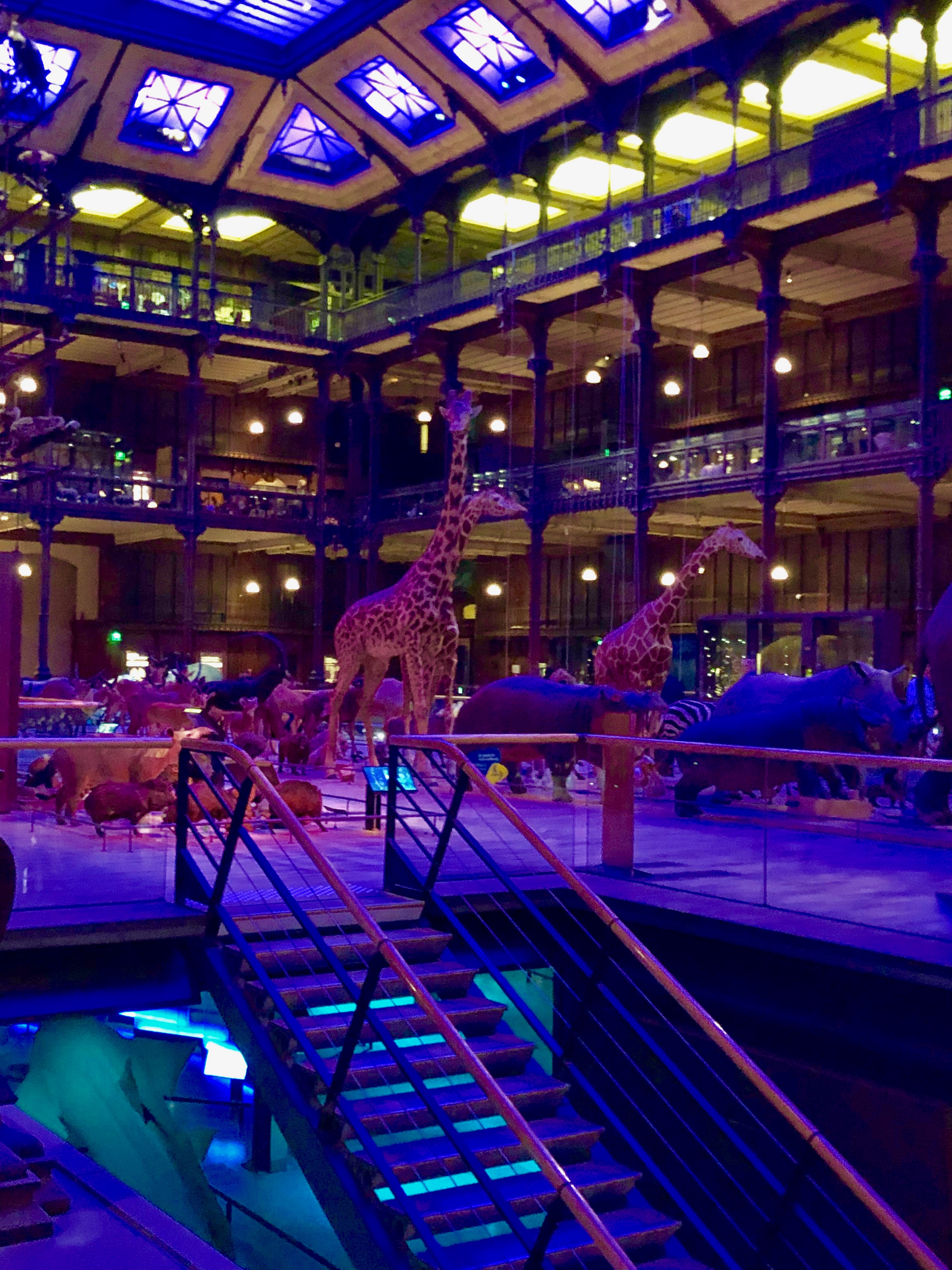 INNOV events Location de salles événements Pau