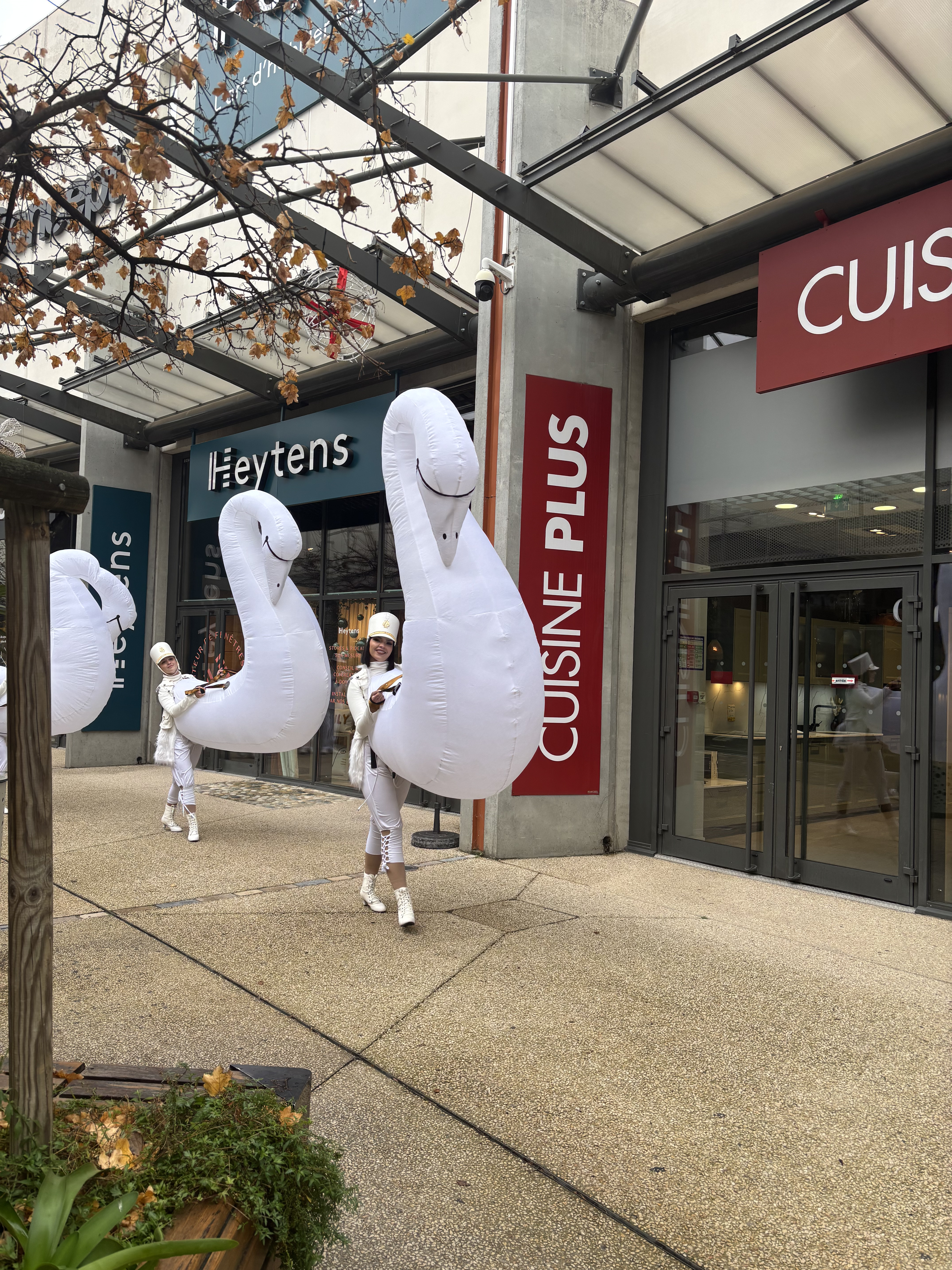 Animation commerciale Gard