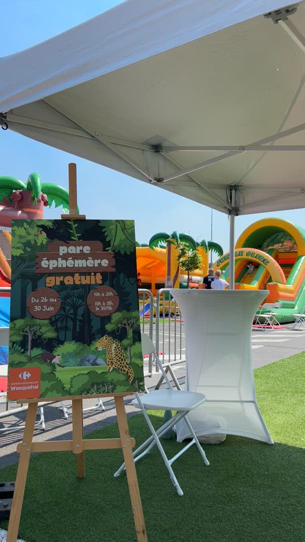 Animation jeux d'arcade Haute-Savoie