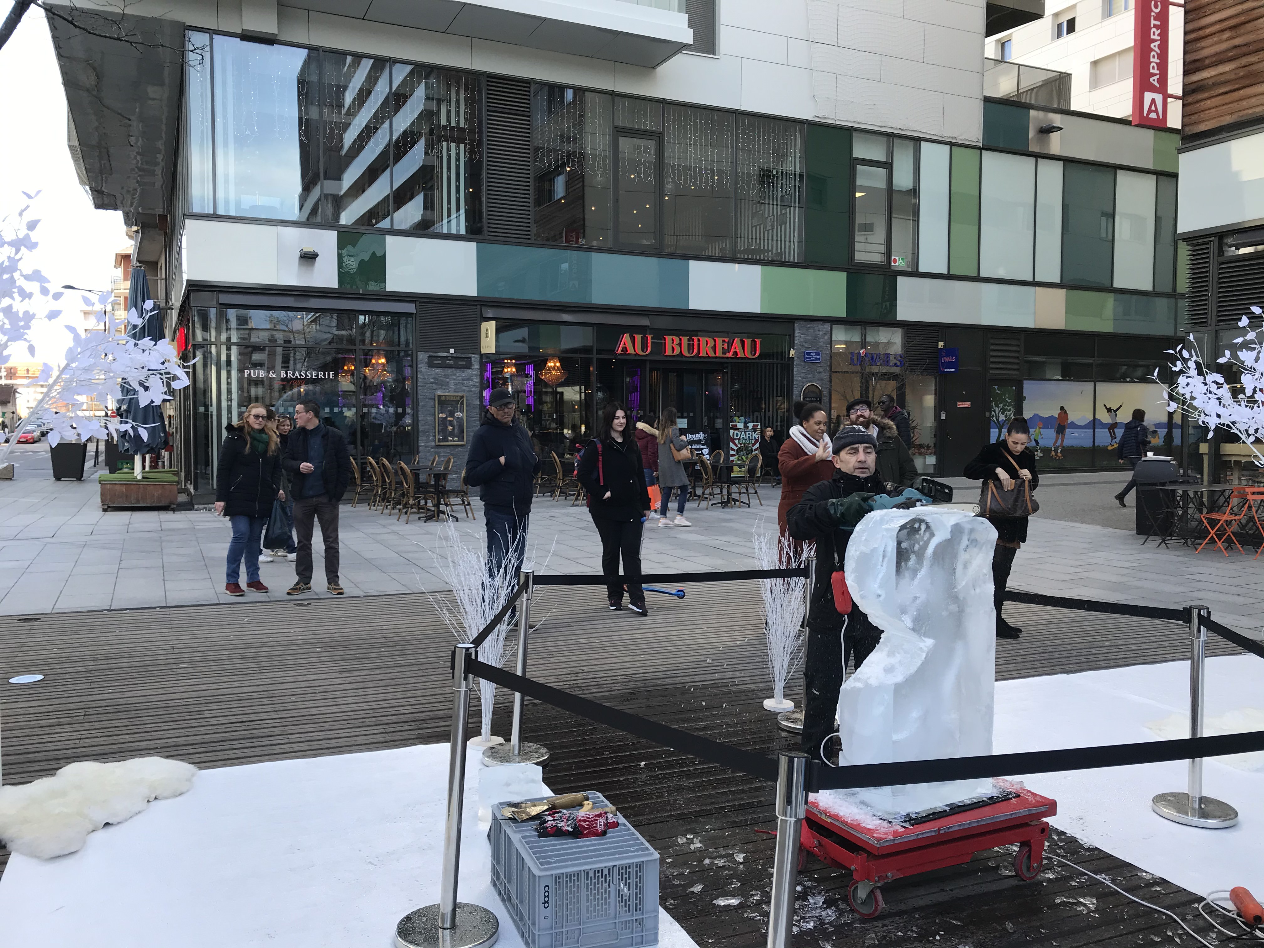 Agent de sécurité Annecy (74)