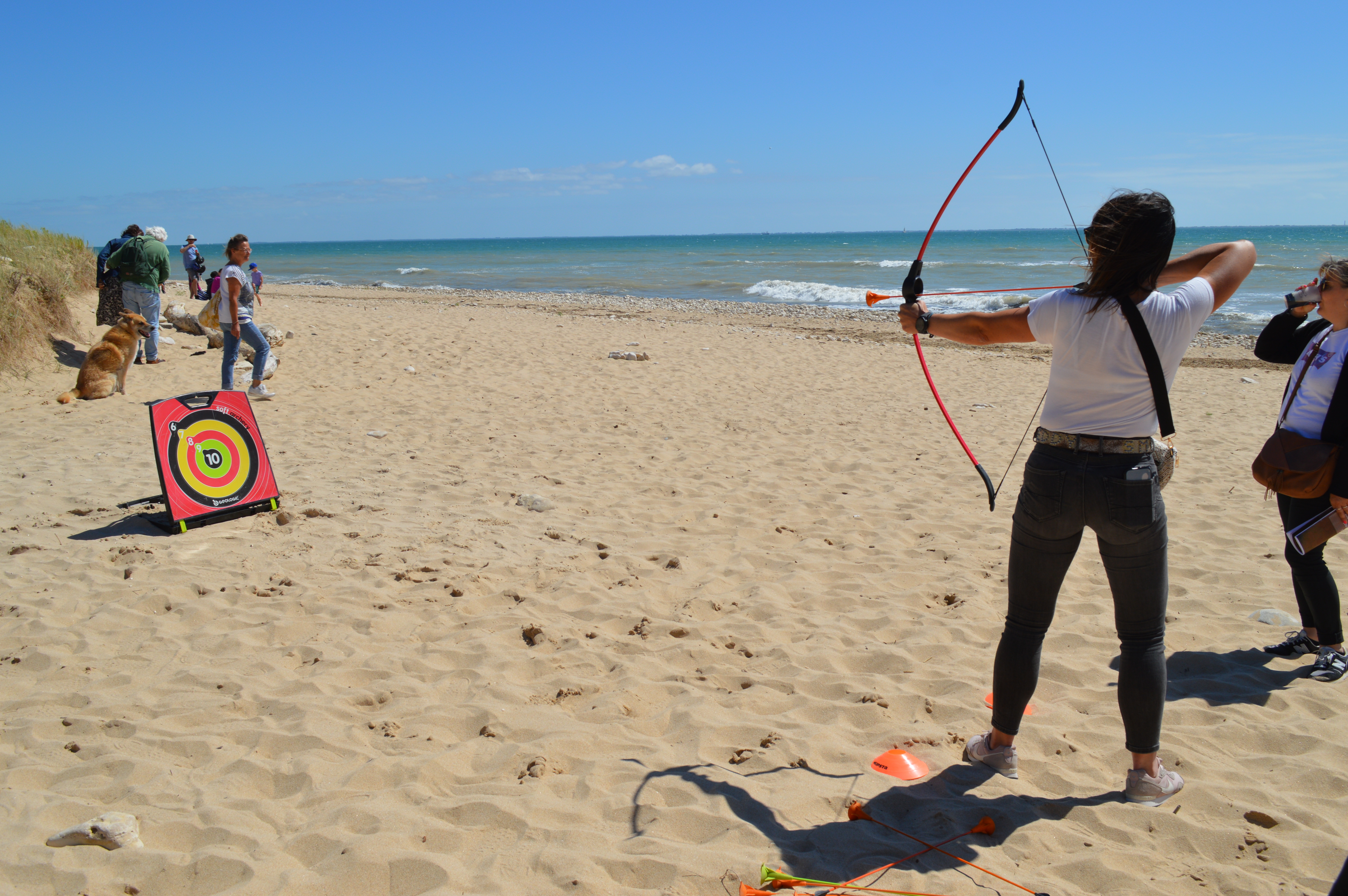 Organiser Animation Tir à l&rsquo;arc Annecy